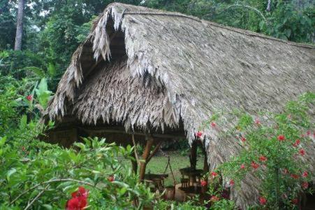 Blue Conga 호텔 Puerto Viejo de Talamanca 외부 사진